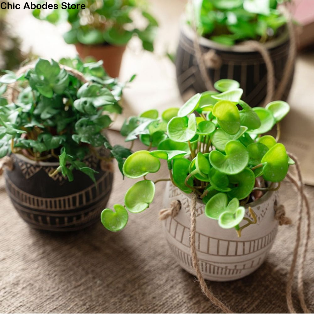 Green Garden Home Shop for Win - Bonsai Garden Shop avaliação e preço