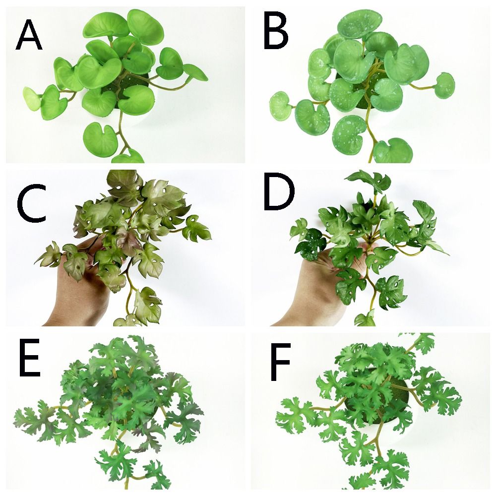 Green Garden Home Shop for Win - Bonsai Garden Shop avaliação e preço