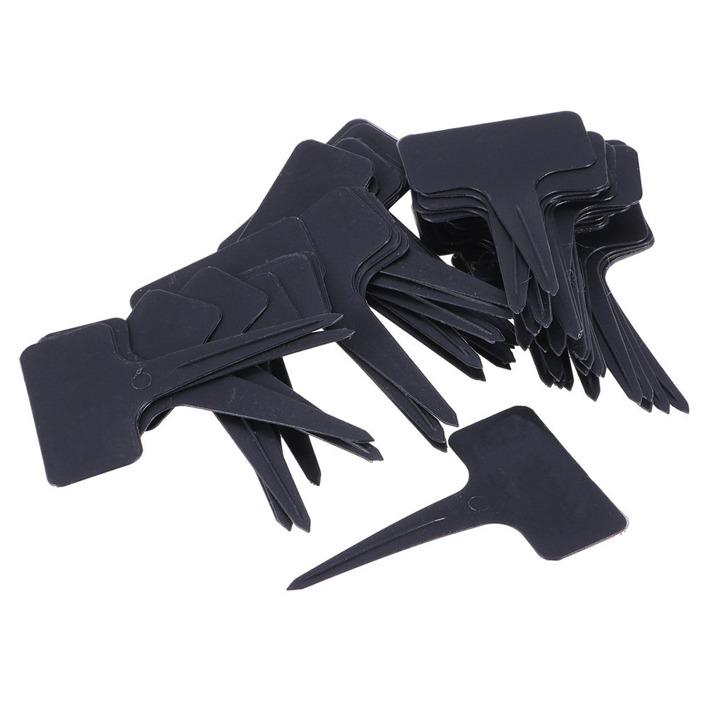 200Pcs T Shaped Plastic Plant  - Bonsai Garden Shop avaliação e preço