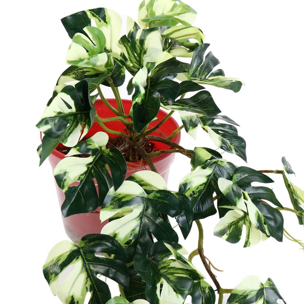 Tropical Nordic Desk Office Ga - Bonsai Garden For Desk avaliação e preço