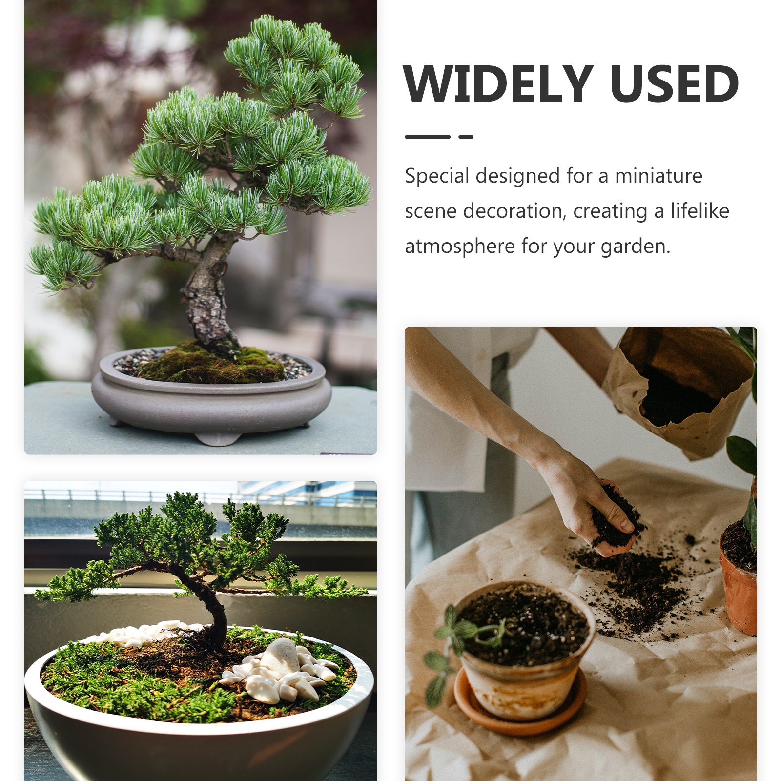 10Pcs Mushroom Ornaments Resin - Bonsai Garden For Desk avaliação e preço