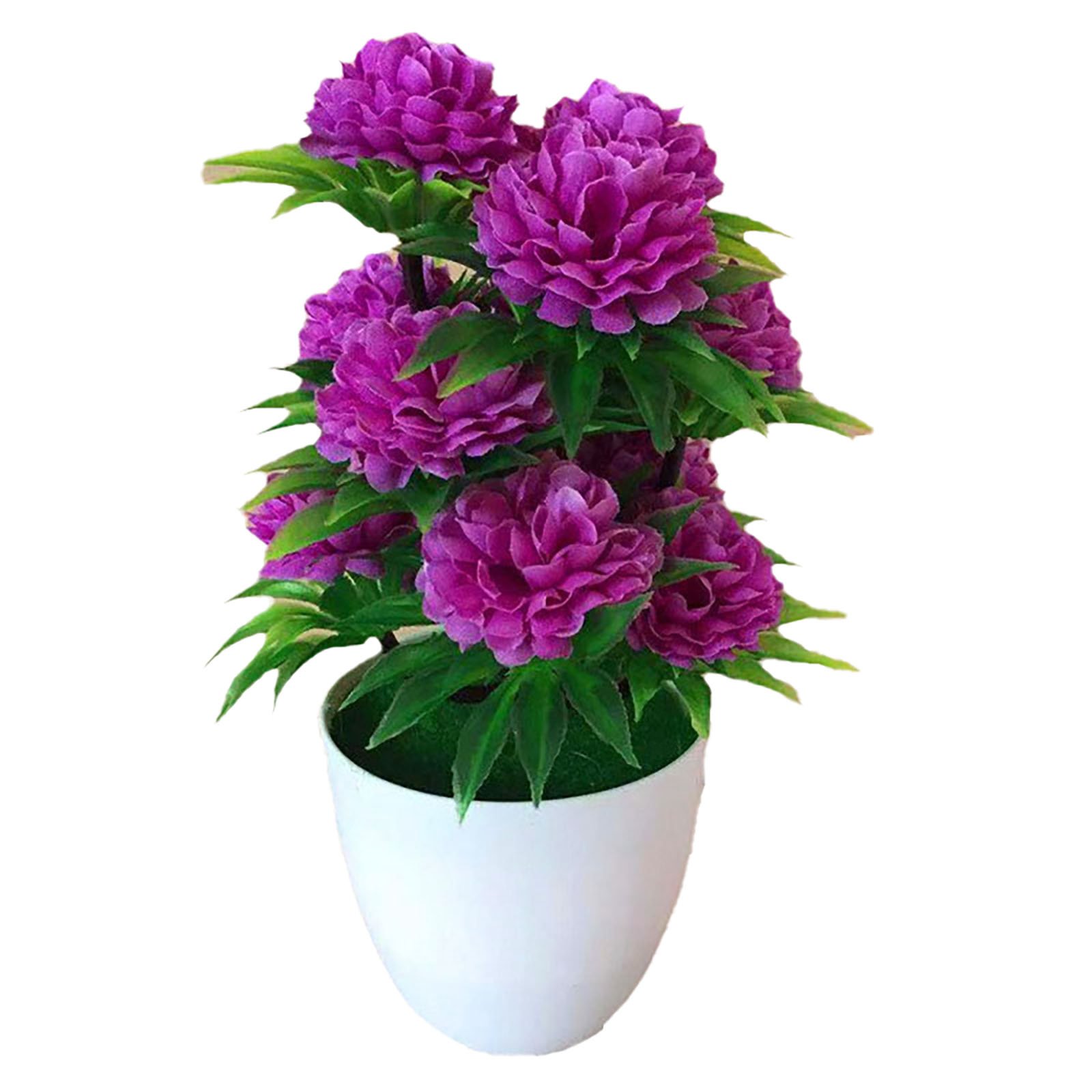 Beautiful Decoration Stylish A - Bonsai Garden Shop avaliação e preço