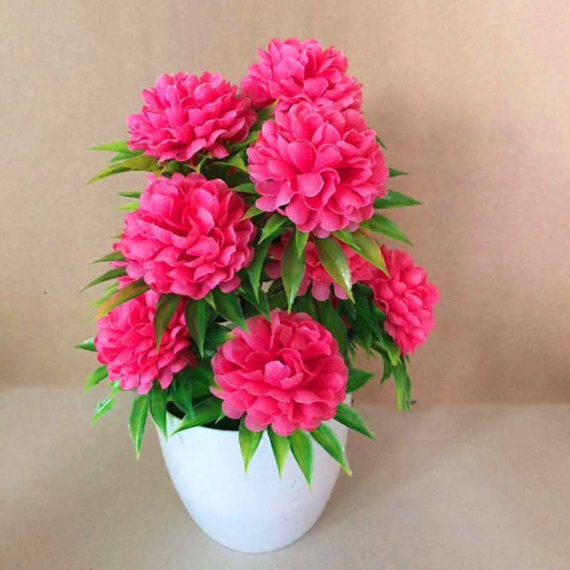 Beautiful Decoration Stylish A - Bonsai Garden Shop avaliação e preço