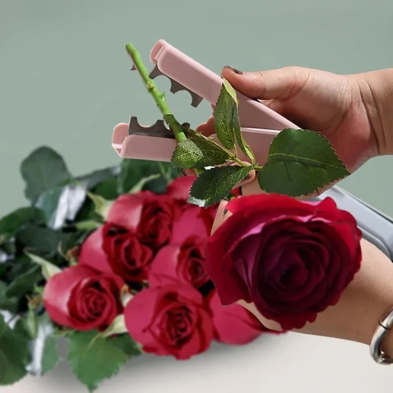 Rose Thorn Remover, Flower Tho - Bonsai Garden Shop avaliação e preço