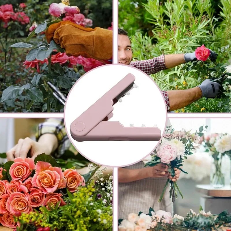 Rose Thorn Remover, Flower Tho - Bonsai Garden Shop avaliação e preço