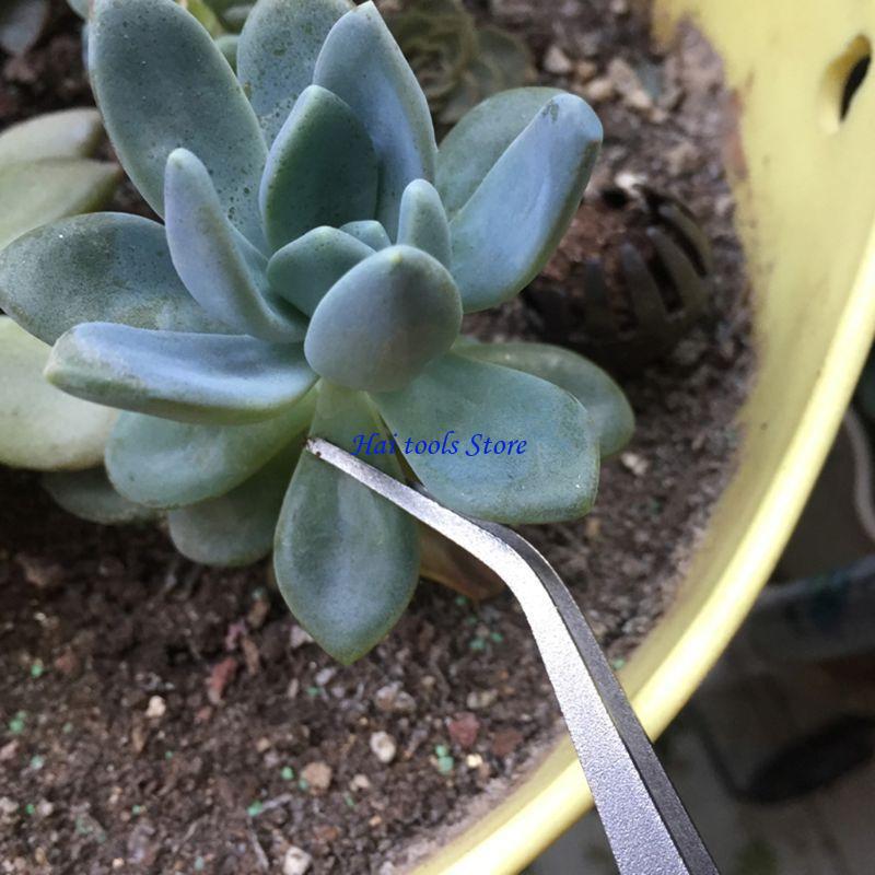 X37E Durable Gardening Rake Mi - Bonsai Garden Shop avaliação e preço