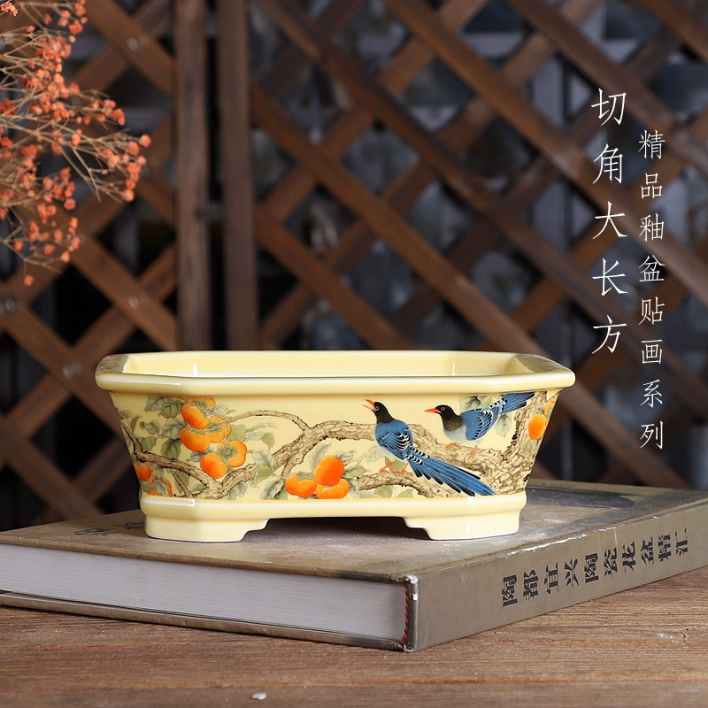 Porcelain Rectangle Bonsai Pot - Bonsai Garden For Desk avaliação e preço