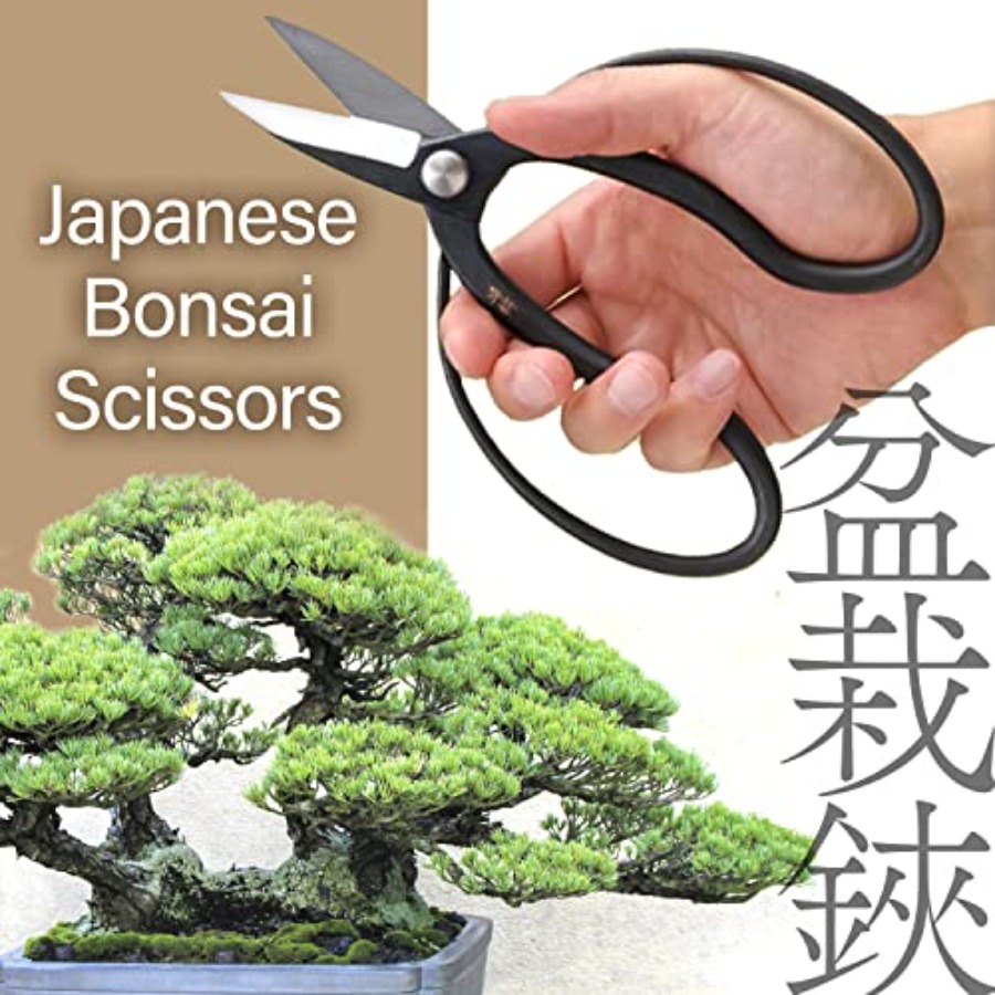 Japanese Suiryu Bonsai Scissor - Bonsai Garden In Japan avaliação e preço