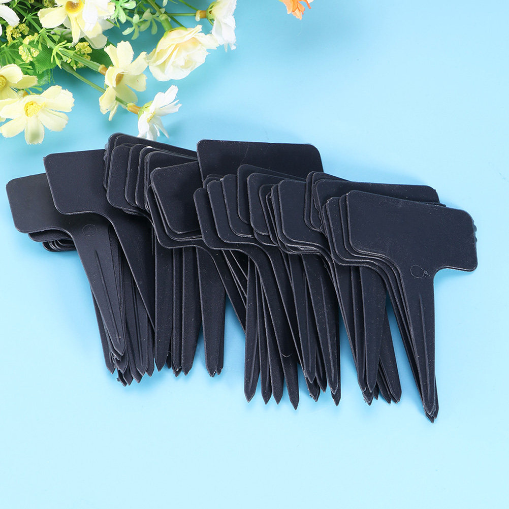 200Pcs T Shaped Plastic Plant  - Bonsai Garden Shop avaliação e preço